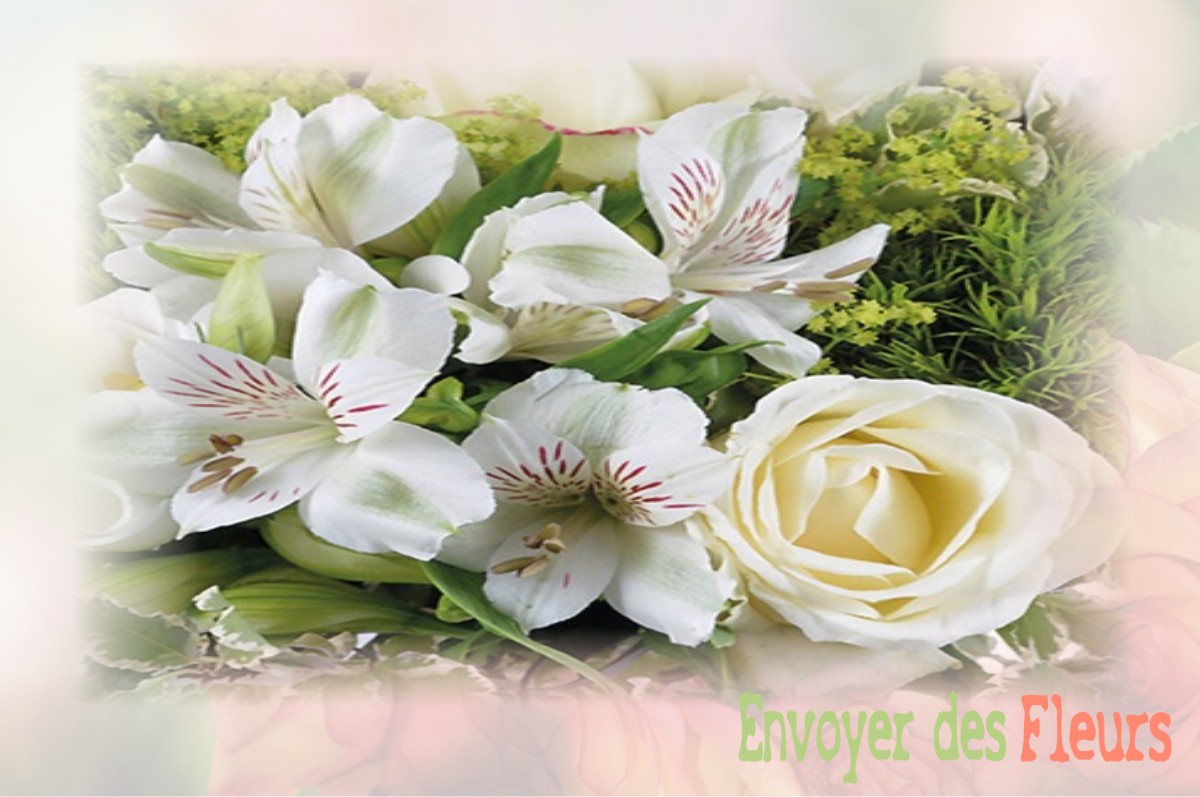 envoyer des fleurs à à SAINT-JEAN-DES-OLLIERES
